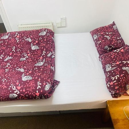 Cozy Studio Opposite Chelsea Stadium 伦敦 外观 照片