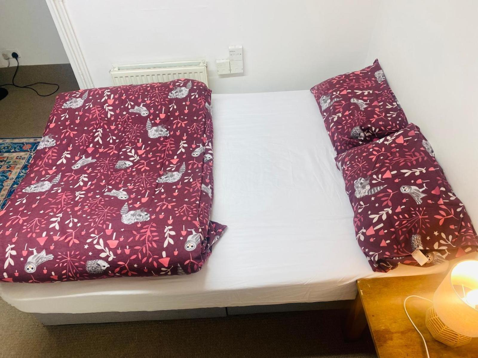 Cozy Studio Opposite Chelsea Stadium 伦敦 外观 照片