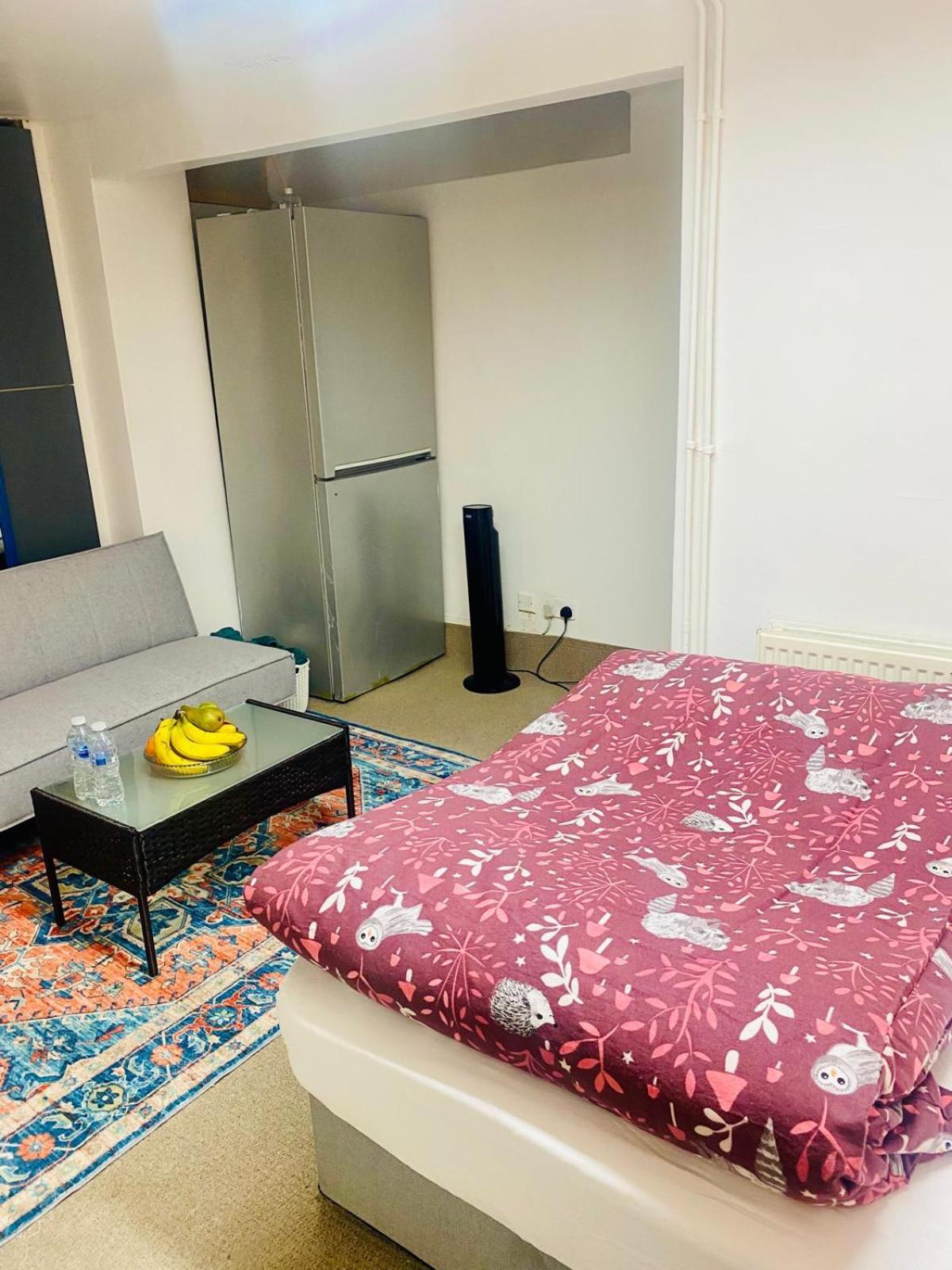 Cozy Studio Opposite Chelsea Stadium 伦敦 外观 照片
